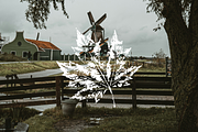 Autumn Forest Imprints | Vector Pack, an Object Illustration by Nutalin Art (Thumbnail 2 of 13)