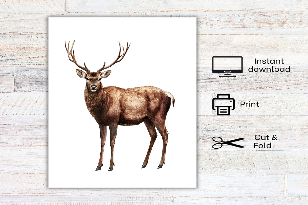 Watercolor Vintage Woodland Clipart, an Illustration by Canvas Craft (Photo 7 of 7)