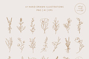 Vol. 2 Botanical hand - drawn logos, a Branding & Logo Template by Crocus Paperi (Thumbnail 2 of 6)