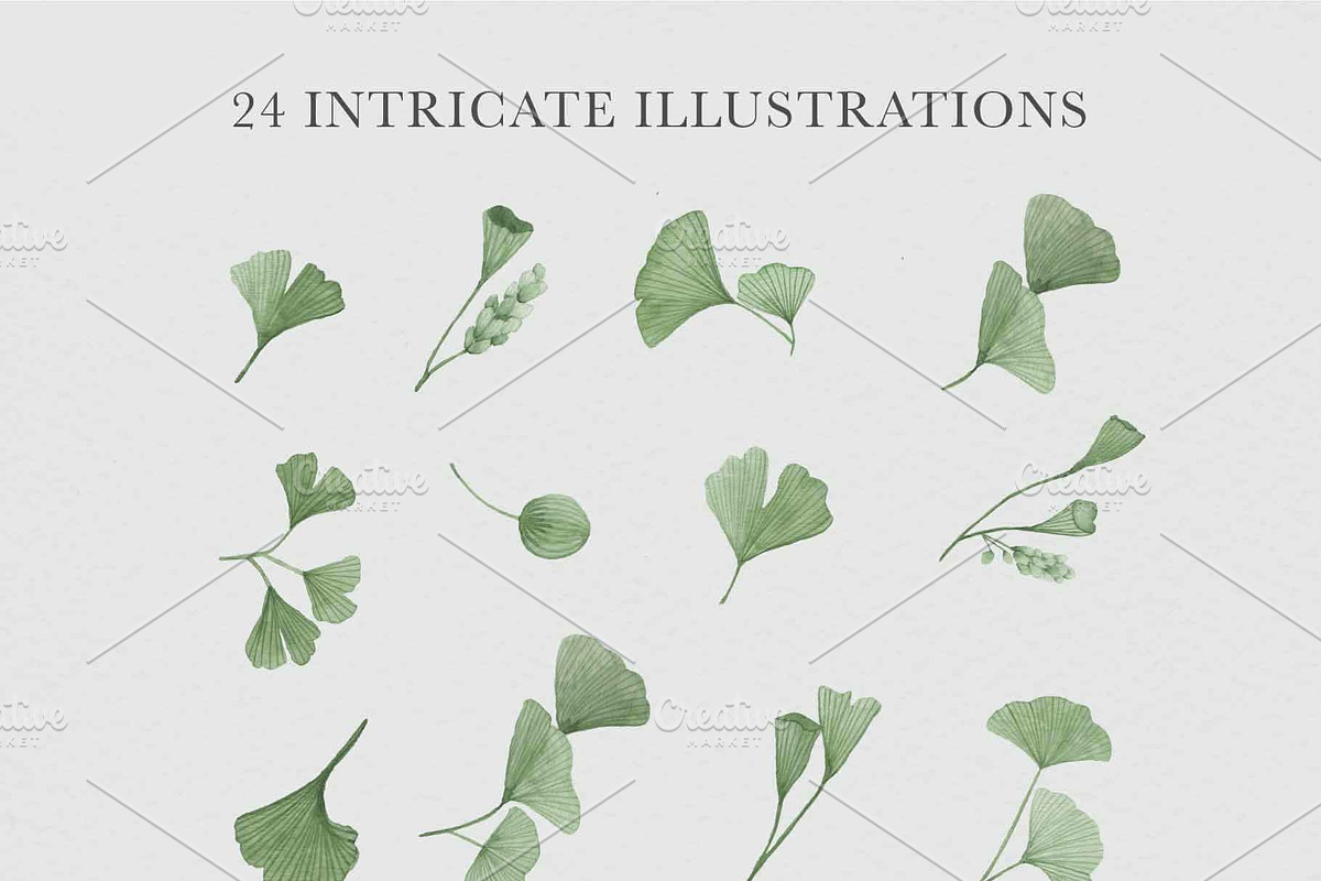 Ginkgo Botanica - Florals & Leaves, a Texture Illustration by Momo Studio (Photo 10 of 12)