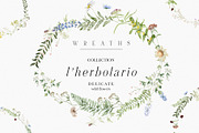 l'Herbolario - Wild Floral Graphics, an Illustration by studioequinox (Thumbnail 9 of 14)