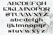 Backen - Bold Serif, a Serif Font by tebaltipislab (Thumbnail 2 of 10)