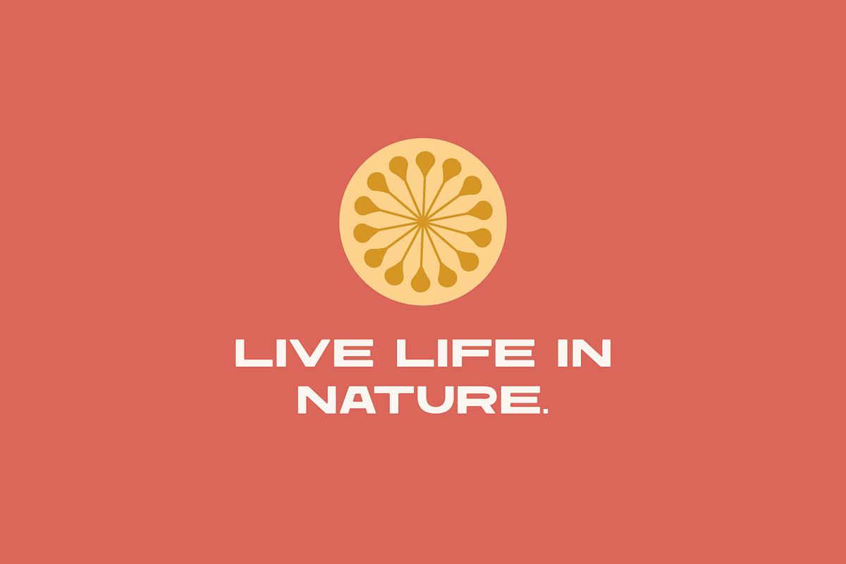 Amborella | Wide Display Typeface, a Sans Serif Font by Yesterday's Type (Photo 3 of 3)