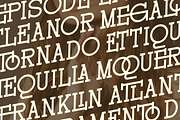 Rochilo - Stylish Slab Ligatures, a Slab Serif Font by Say Studio (Thumbnail 3 of 7)