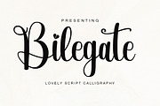 Bilegate, a Script Font by Kenzvalley (Thumbnail 1 of 6)