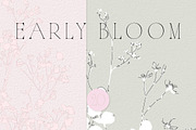 Botanical Background Collection, a Background Graphic by Anna Sokol (Thumbnail 7 of 14)