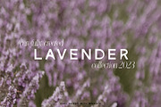 Karl – Cool Sans w Unique Alternates, a Sans Serif Font by Local Desk Designstudio (Thumbnail 20 of 28)