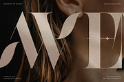 Raving Display Editorial Serif Font, a Serif Font by SilverStag Type Foundry (Thumbnail 15 of 30)