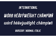 Varserif Font Family, a Serif Font by Alphabet Agency (Thumbnail 9 of 16)