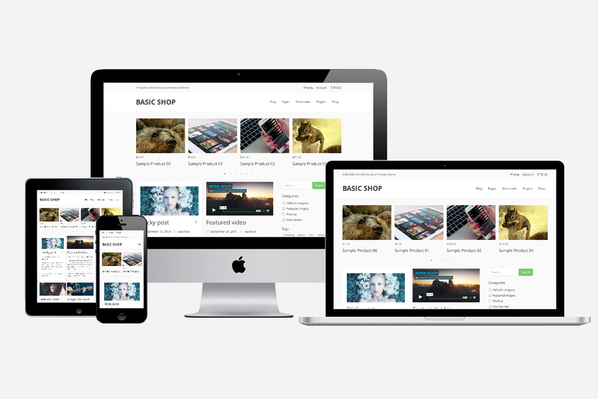Basic Shop Premium, a WordPress Template by Iografica Themes (Photo 1 of 2)