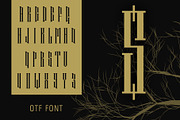 Branch font latin and cyrillic, a Serif Font by Kseniia Kuznetsova (Thumbnail 2 of 5)