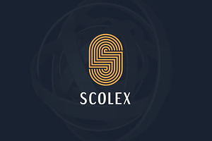 Letter s line art monogram flat logo