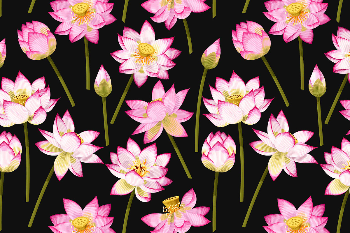 Lotus Patterns, a Pattern Graphic by GreyLilac