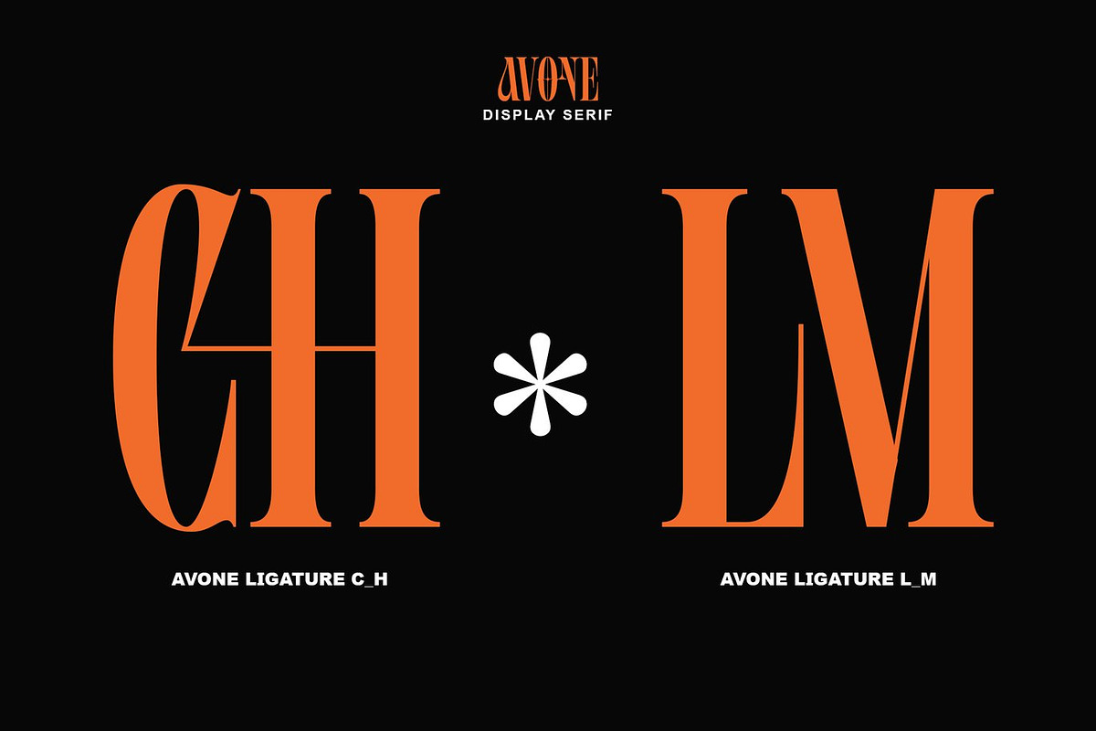 Agitton - Ligature Serif, a Serif Font by Luna Shop (Photo 4 of 6)
