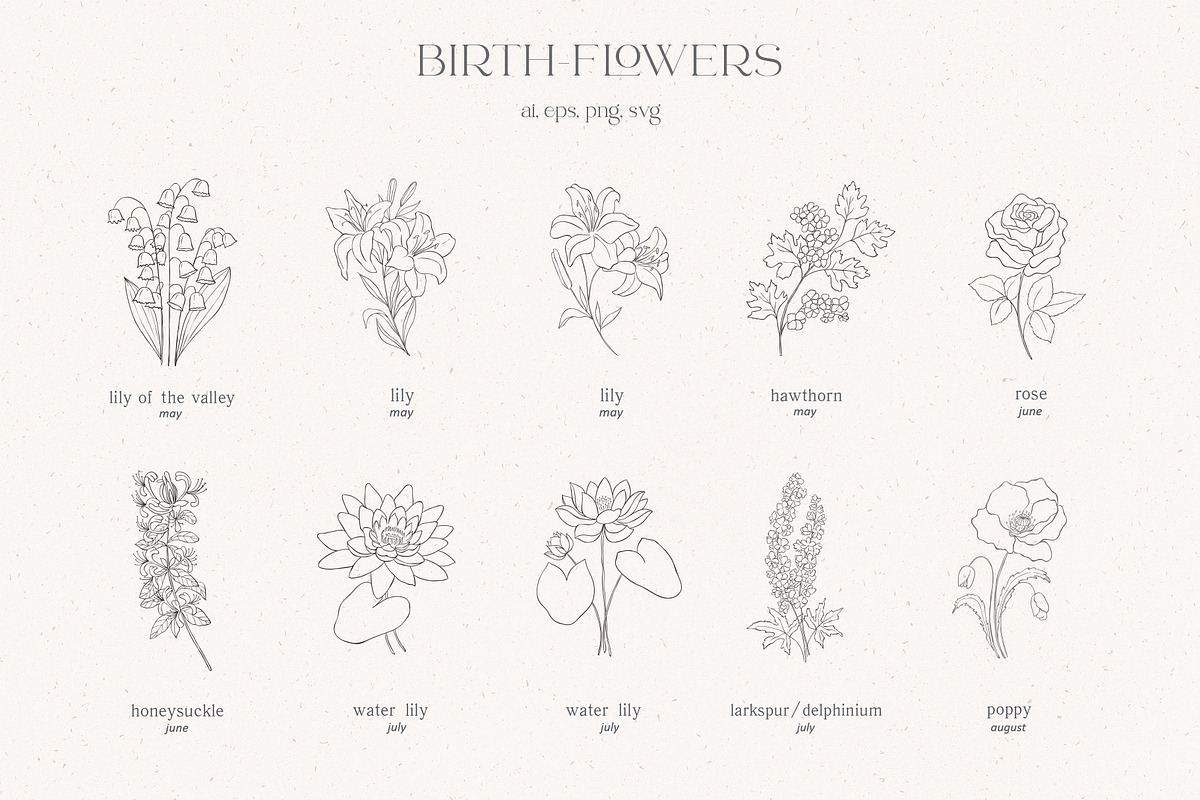 Birth-Flowers. Watercolor & Line Art, a Decorative Illustration by Designwork (Photo 9 of 14)