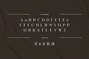 Galviane – Artistic Modern Serif, a Serif Font by BrandSemut (Thumbnail 3 of 10)