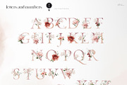Flowers collection, floral clipart, an Illustration by ollalya (Thumbnail 11 of 14)
