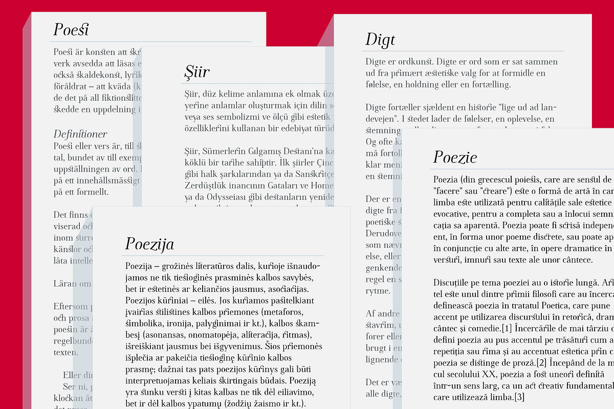 Omologo Serif Semi Stencil font, a Serif Font by Bellini studio (Photo 11 of 13)