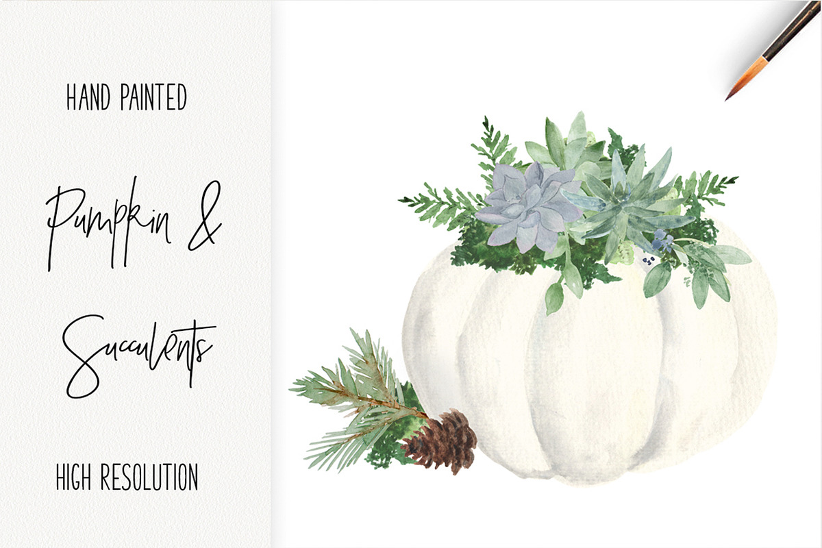 White Pumpkin Succulent Watercolor, a Decorative Illustration by DailyMiracleDigitals,LLC (Photo 1 of 4)