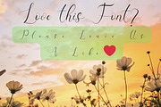 Sophie Valentina: Signature Font, a Handwritten Font by GearShift (Thumbnail 2 of 4)