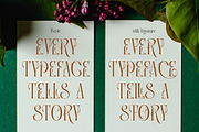 Mintgash Ainlone - Elegant Serif, a Serif Font by TypeClassHeroes (Thumbnail 4 of 10)