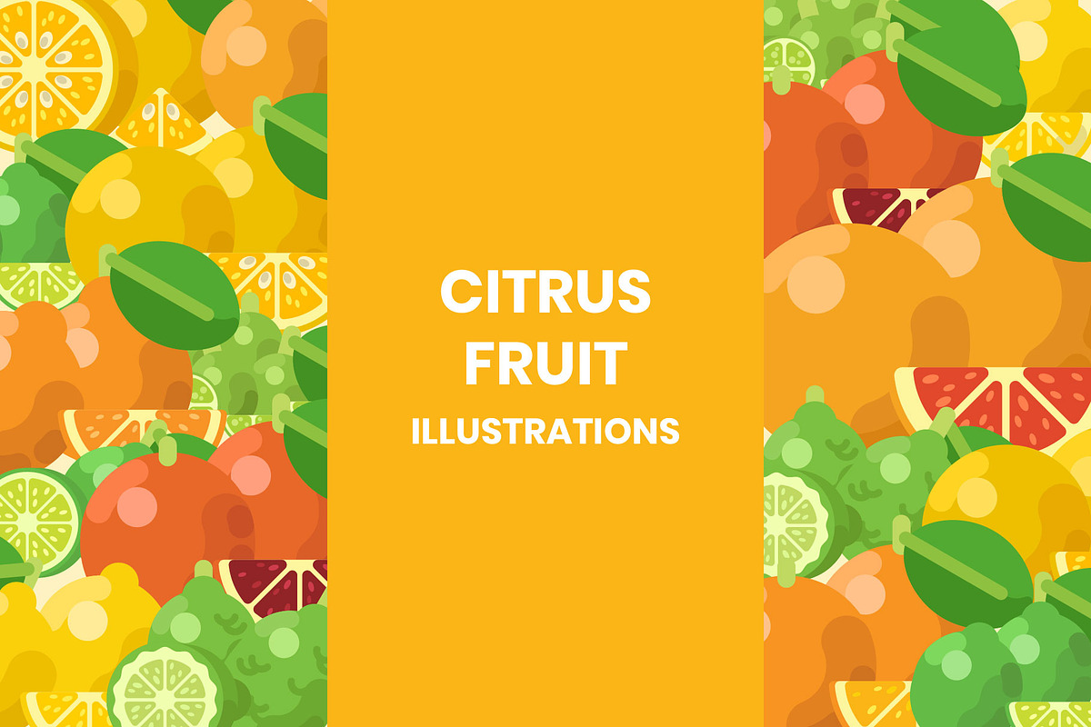 Citrus Fruit Illustrations Set, a Food Illustration by DailyYouth (Photo 1 of 5)