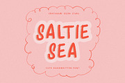 Saltie Sea Digital Font, a Sans Serif Font by Creativeqube Design (Thumbnail 2 of 5)