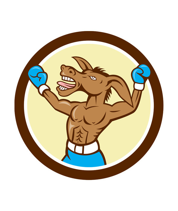Donkey Boxing Celebrate Circle Carto, an Animal Illustration by patrimonio