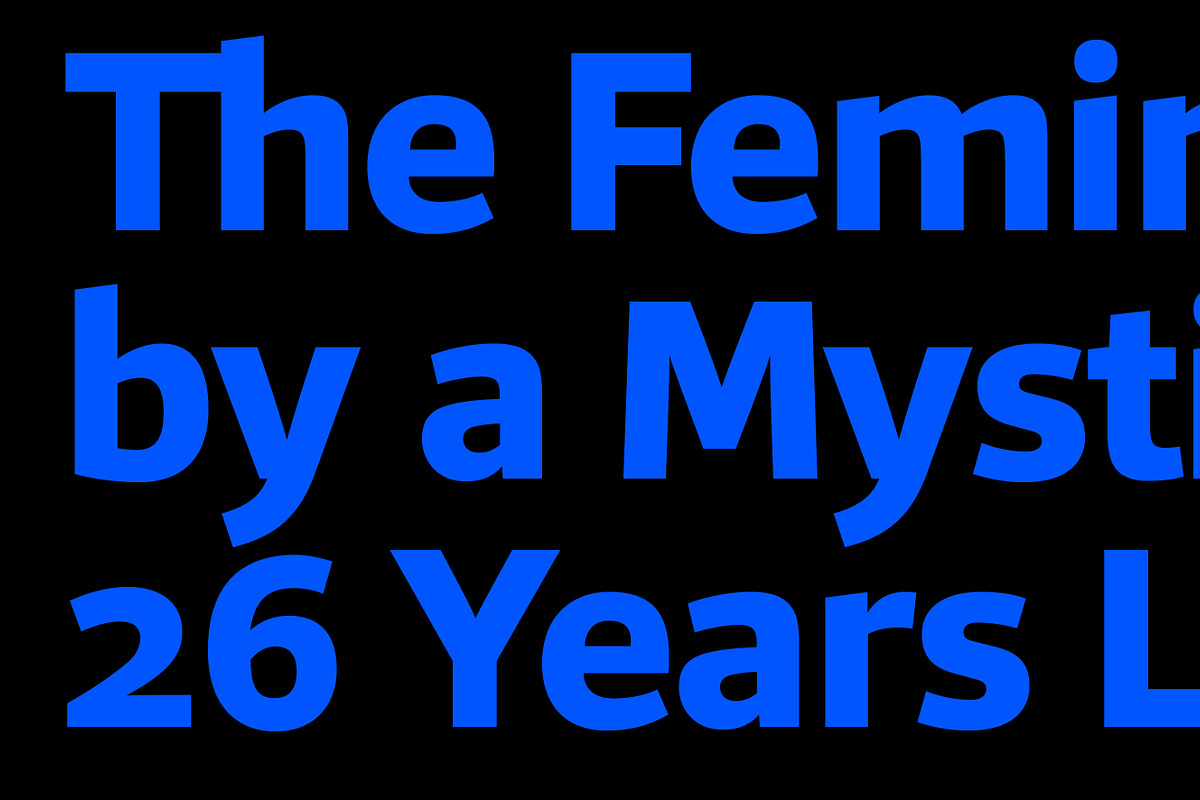 Foro Sans, a Sans Serif Font by Hoftype (Photo 5 of 17)