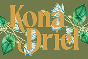 Rakizen Bisrony — Modern & Classic, a Serif Font by Enxyclo Studio (Thumbnail 2 of 23)