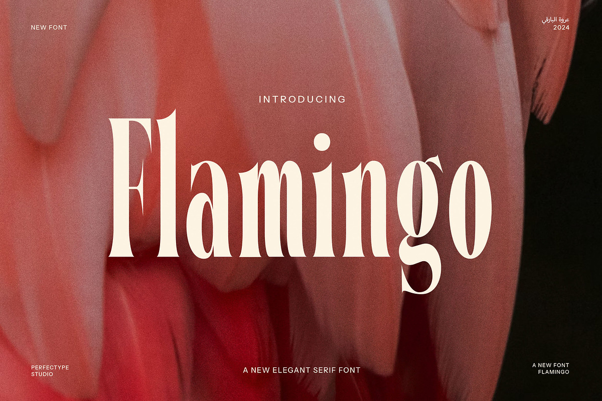 Flamingo Elegant Serif Font, a Serif Font by Perfectype (Photo 1 of 8)