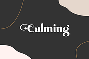 Emirates - Beautiful Curved Font, a Serif Font by Sensatype (Thumbnail 15 of 25)