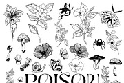 Poison. Watercolor and line art., an Object Illustration by ma_i_vi (Thumbnail 7 of 12)