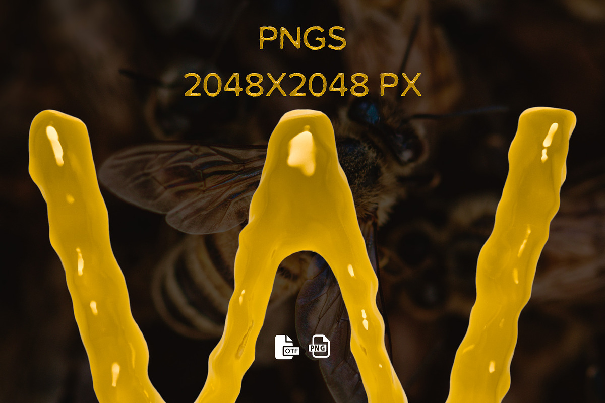Ms Honey Bitmap Font & PNGs, a Symbol Font by Creative Graphics (Photo 6 of 6)