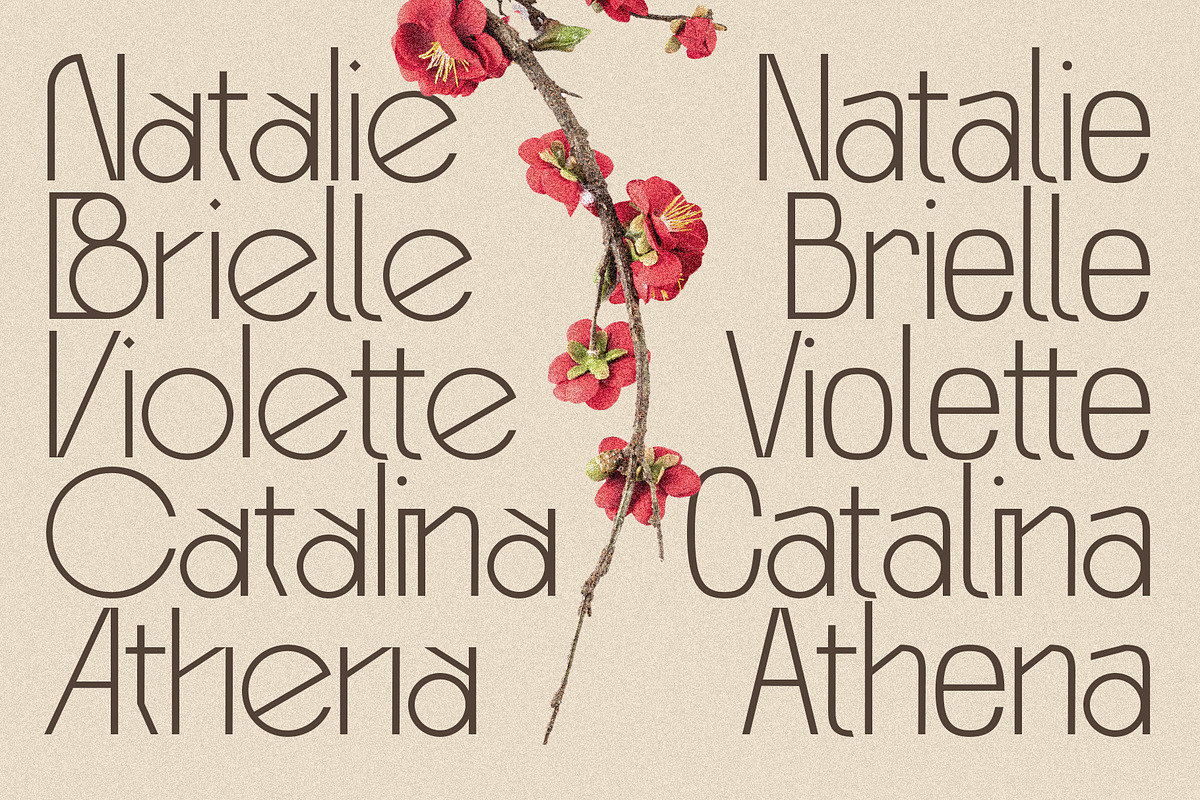 Baroque Grotesk - Ligature Rich Font, a Sans Serif Font by SilverStag Type Foundry (Photo 10 of 20)