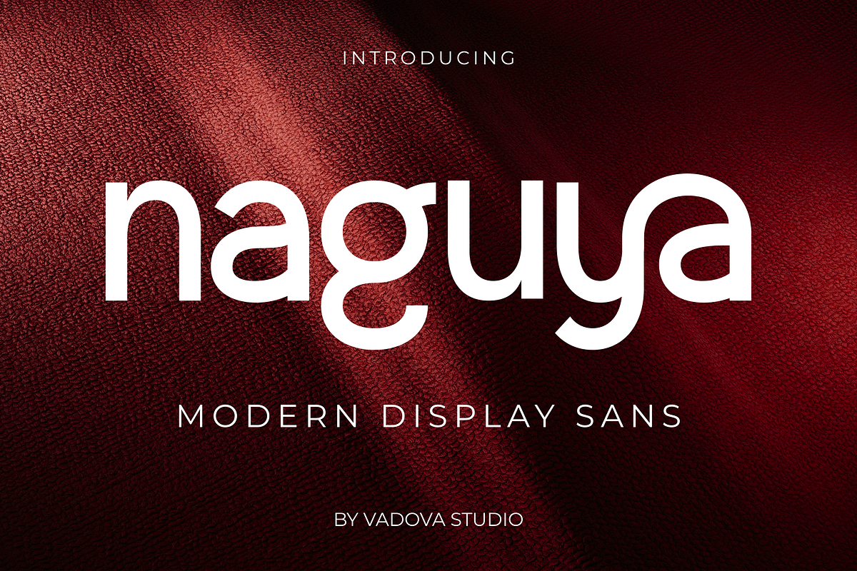 Naguya Modern Display Sans Font, a Sans Serif Font by Vadovastd (Photo 1 of 8)