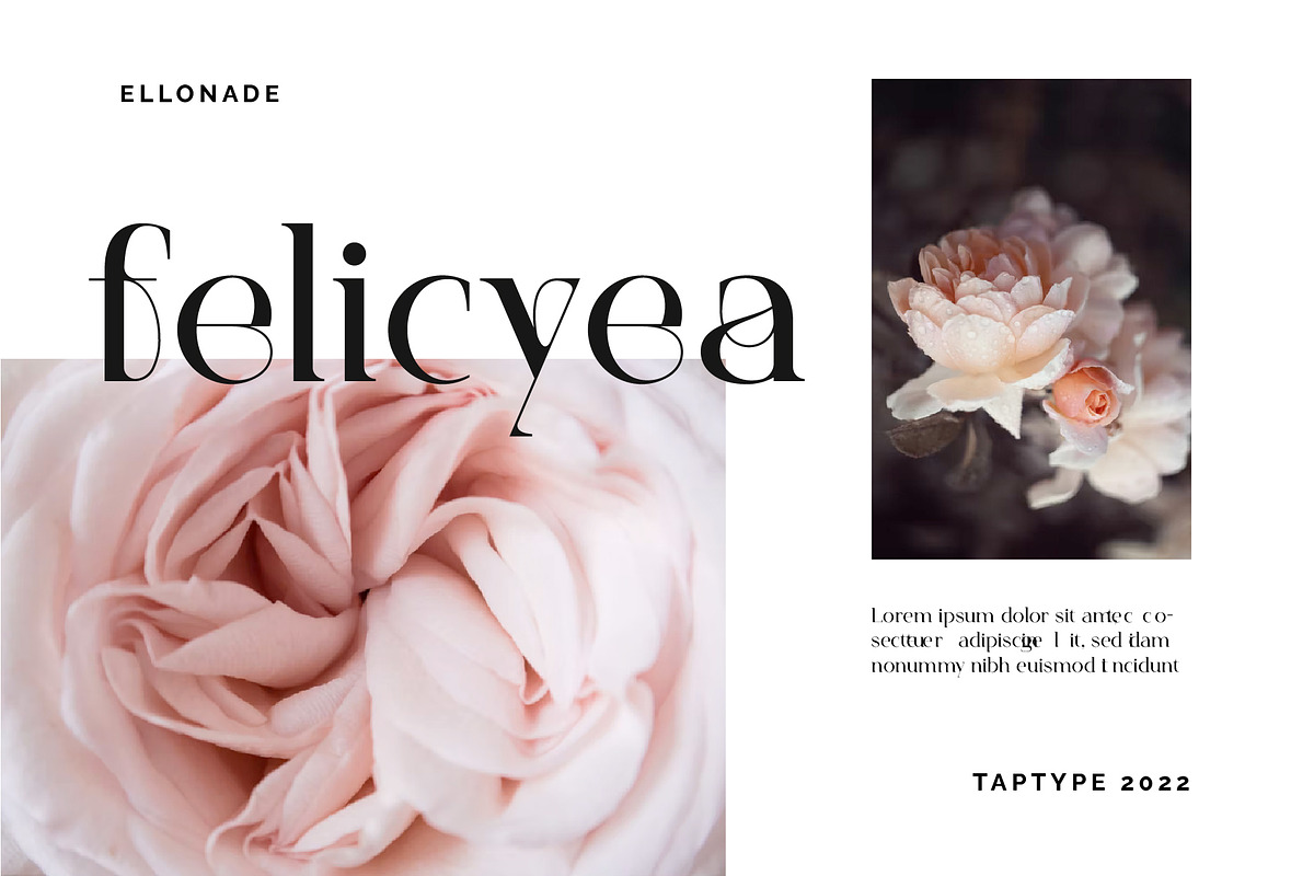 Elonade - Classic Serif Display Font, a Serif Font by Vesvocrea (Photo 7 of 11)