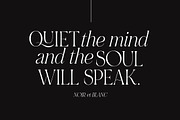 NOIR et BLANC Stylish Serif, a Serif Font by Nicky Laatz (Thumbnail 17 of 41)