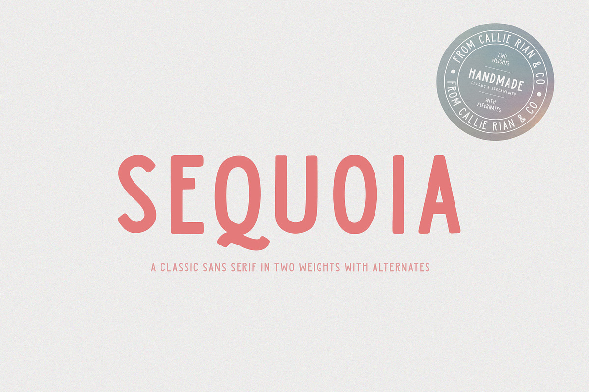 Sequoia Sans - Elegant Display Font, a Sans Serif Font by Callie Rian & Co. (Photo 1 of 13)