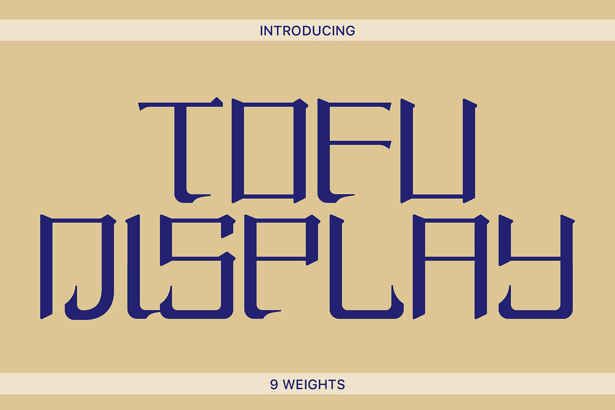 Tofu Display, a Font by Nguyen Type (Photo 1 of 3)