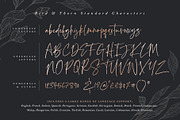 Bird & Thorn, a Script Font by Sam Parrett (Thumbnail 8 of 8)