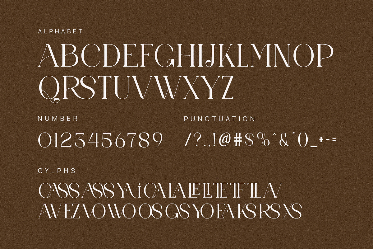 Cassya Elegant Ligature Serif Font T, a Serif Font by Perfectype (Photo 6 of 7)