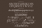 Macterla Stylishh Modern Serif Font, a Serif Font by Storytype Studio (Thumbnail 13 of 14)