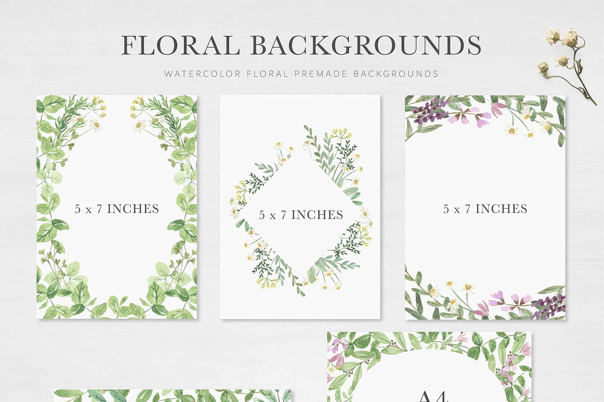 HERB BOTANIST watercolor clipart, a Decorative Illustration by Momo Studio (Photo 8 of 15)