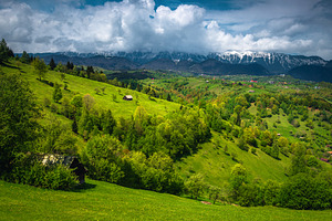 Early summer scenery with mountains, a Nature Photo by Alpine Dreams