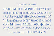 CS Caliope – Aesthetic Font, a Serif Font by Craft Supply Co. (Thumbnail 8 of 8)