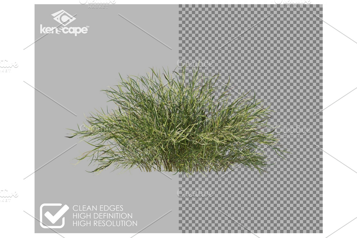 60 Grass Photo Overlays, a Nature Photo by KenScape (Photo 2 of 3)