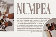 Magic Roses - Serif Clean Elegant, a Serif Font by AuthenType (Thumbnail 7 of 15)