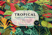 Tropical Plants & Animals, a Pattern Graphic by Molly art (Thumbnail 1 of 14)