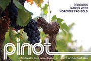 Nordique Pro Collection, a Sans Serif Font by Leksen Design (Thumbnail 3 of 9)